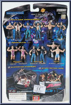 Matt Hardy from WWE Ruthless Aggression - Series  7 manufactured by Jakks Pacific [Back]