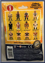 Daniel Bryan from WWE Stack Down - Blind Bags manufactured by Bridge Direct [Back]