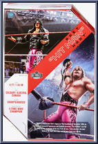 Bret Hit Man Hart from WWE Ultimate Edition - Series  2 manufactured by Mattel [Back]