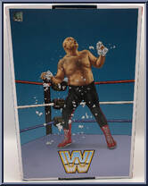 Rowdy Roddy Piper / George The Animal Steele from WWE Ultimate Edition - Coliseum Collection manufactured by Mattel [Back]