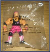 Bret Hart from WWF - WWF Magazine Mail Order manufactured by Hasbro [Front]