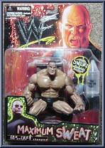 Rock The People's Champion Action Figure