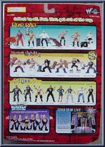 Al Snow from WWF Summer Slam 99 - Road Rage manufactured by Jakks Pacific [Back]
