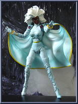 Storm from X-Men - 2006 Series - Series 1 manufactured by Toy Biz [Loose]