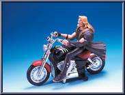 Sabretooth Action Figure