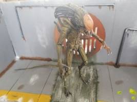 Predalien (concept art inspired) (Alien vs Predator) Custom Action Figure