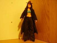 The Question (Wrestling) Custom Action Figure