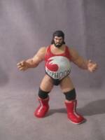 Typhoon (WWE) Custom Action Figure