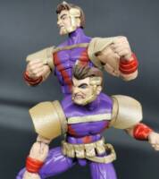 Kleinstock Brothers (Acolyte) V2 (Marvel Legends) Custom Action Figure