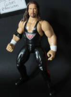 Kevin Nash (Wrestling) Custom Action Figure