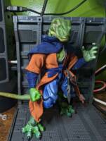 Zeb (Dungeons and Dragons) Custom Action Figure