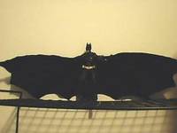 Batman Begins custom cape (Batman Begins) Custom Action Figure