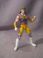 Crush (Wrestling) Custom Action Figure