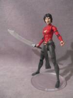 Young Justice Lady Shiva (DC Multiverse) Custom Action Figure