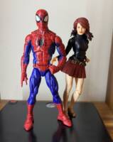Mary Jane Watson (Marvel Legends) Custom Action Figure