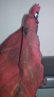 Movie Spawn with Cape (Spawn) Custom Action Figure