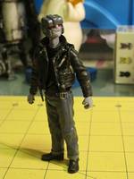 Lou Reed - Transformer (Transformers) Custom Action Figure
