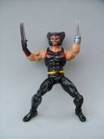 Aoa Wolverine (Marvel Universe) Custom Action Figure