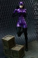 Classic Catwoman (Marvel Legends) Custom Action Figure