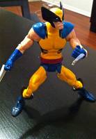 Marvel Universe Classics Wolverine (DC Universe) Custom Action Figure
