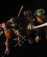 Teenage Mutant Ninja Turtles (Teenage Mutant Ninja Turtles) Custom Action Figure
