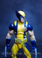Astonishing Wolverine Heroic Age (Marvel Universe) Custom Action Figure