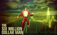 Steve Austin the Six Million Dollar Man (Six Million Dollar Man) Custom Action Figure