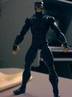 Wildcat (DC Universe) Custom Action Figure