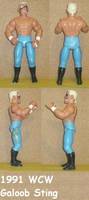 Sting (Wrestling) Custom Action Figure