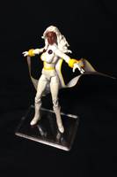 Storm (Marvel Universe) Custom Action Figure