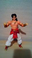 S. H. Figuarts Broly (Dragonball Z) Custom Action Figure