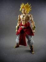 S.H Figuarts Broly (Dragonball Z) Custom Action Figure