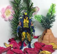 Wolverine (X-Men) Custom Action Figure