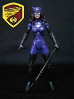 Catwoman (DC Infinite Heroes) Custom Action Figure
