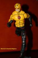 Reverse Flash (CW Flash TV Series) (DC Universe) Custom Action Figure