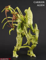 Carrier Alien (Alien vs Predator) Custom Action Figure