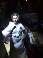 Princess Leia (Star Wars) Custom Action Figure