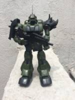 Gundam Warrior (Gundam) Custom Action Figure
