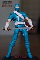 Cobra Ninja Viper (G.I. Joe) Custom Action Figure