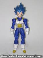 Vegeta (Ssjgssj Full Power) (Dragonball Z) Custom Action Figure