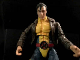 X-Men Animated Morph (Marvel Universe) Custom Action Figure