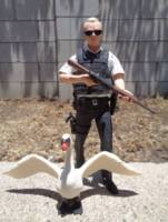 Simon Pegg as Nicholas Angel from HOT FUZZ (Movie Maniacs) Custom Action Figure